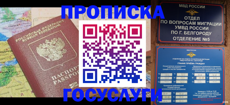 прописка регистрация в Кольчугино